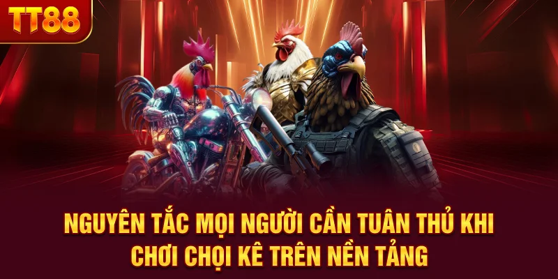 Nguyên tắc mọi người cần tuân thủ khi chơi chọi kê trên nền tảng